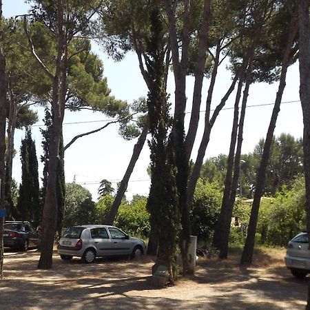Rvapartaments Treumal Park Platja d'Aro Esterno foto